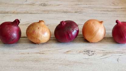 La cebolla y sus beneficios para la salud, foto 5