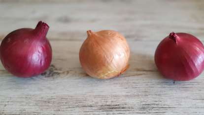 La cebolla y sus beneficios para la salud, foto 8