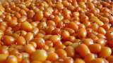Zumo de espino amarillo sin azúcar con jengibre y limón - Preparación paso 1