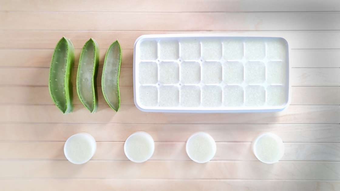 Crema de Aloe Vera con Manteca de Coco, foto 4