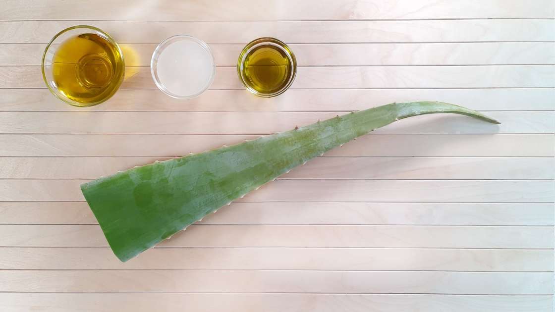 Crema de aloe vera con aceite de oliva, uva y coco, foto 2