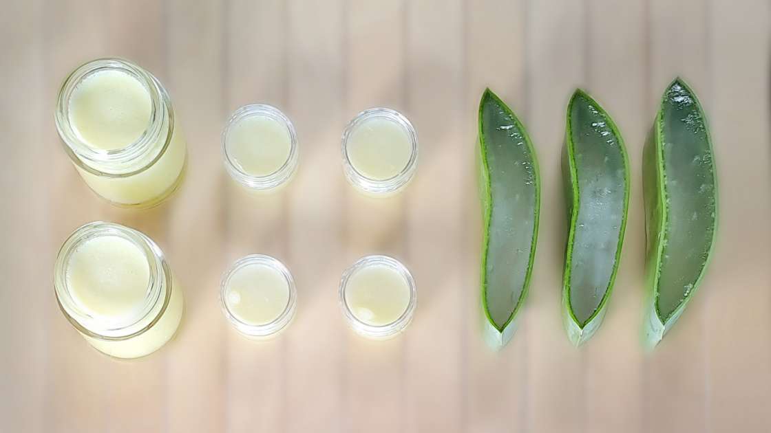 Crema de aloe vera con aceite de oliva, uva y coco, foto 7