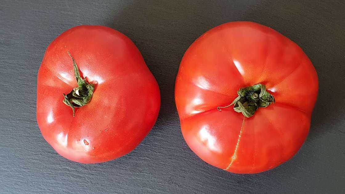 Zumo de tomate fresco con miel para fortalecer huesos y articulaciones, foto 3