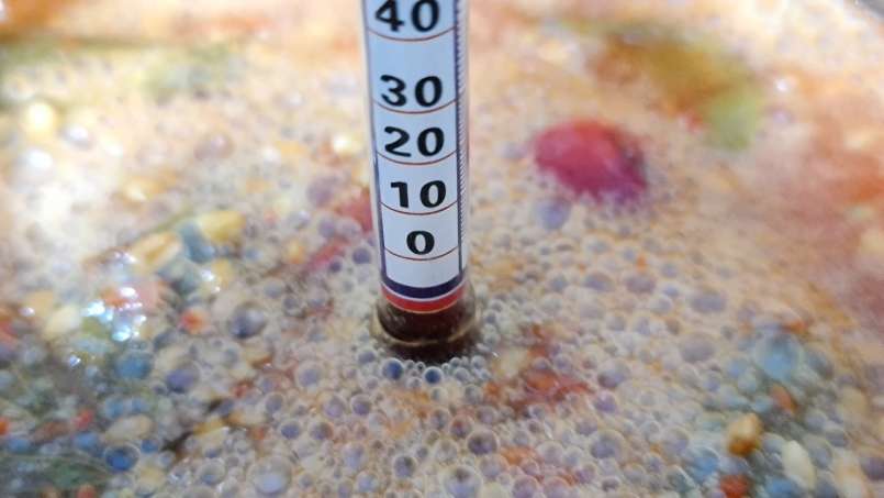 Sidra de manzana con miel, limón y menta, foto 6