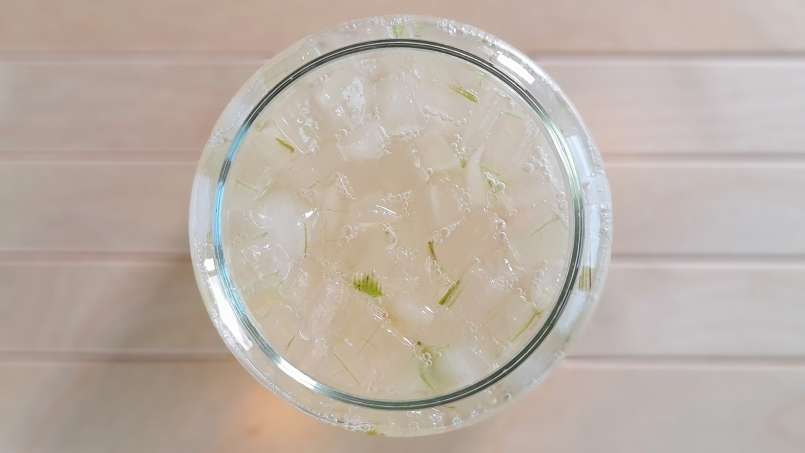 Macerado de Aloe Vera con miel, foto 4