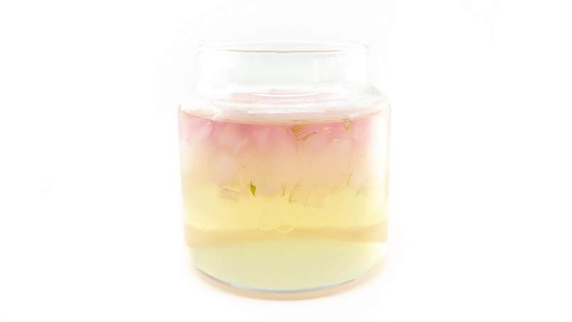 Macerado de Aloe Vera con miel, foto 14
