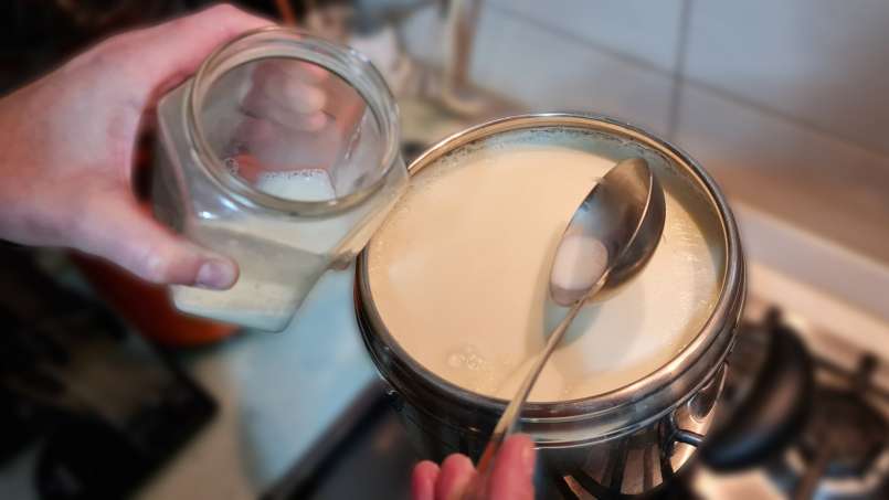 Yogur casero de leche fermentada y nata agria, foto 3