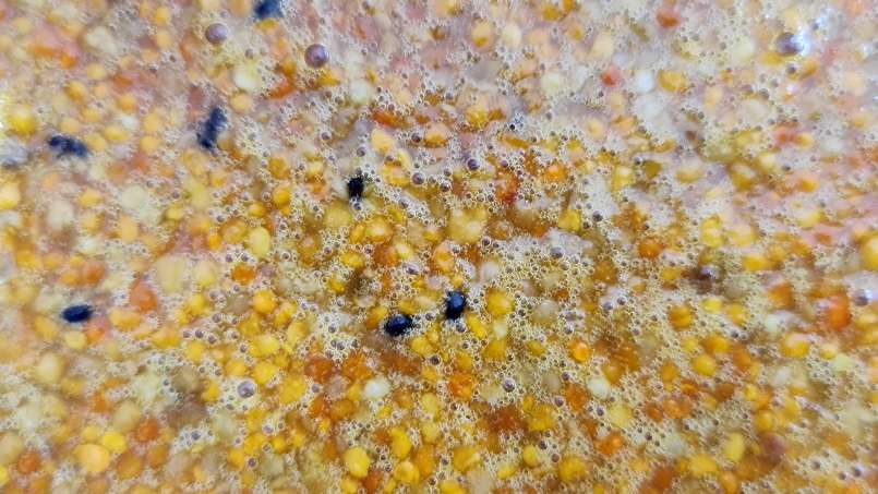 Cóctel de abejas: un estimulante inmunitario y energético natural, foto 9