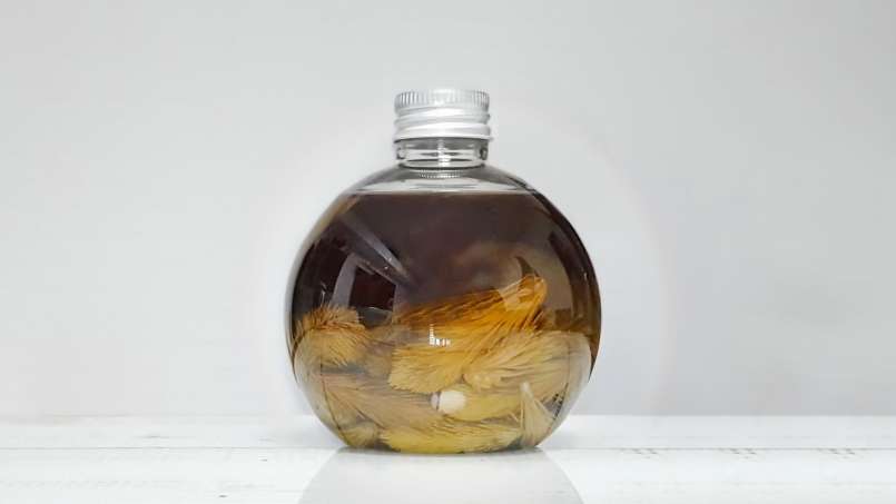 Aceite de yemas de pino, foto 11