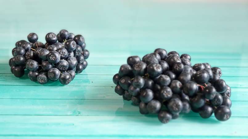 Jarabe de aronia con miel, foto 9