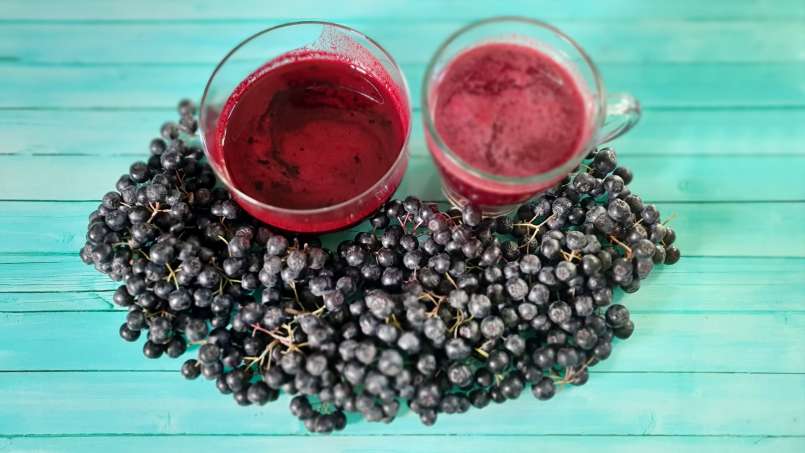 Jarabe de aronia con jengibre y miel, foto 10
