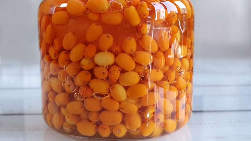 Macerado de espino amarillo con miel, foto 5