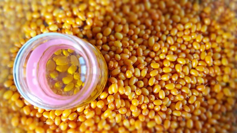 Aceite de pasas, foto 7