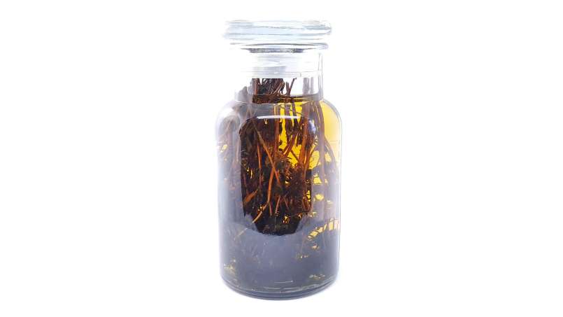 Tintura de tomillo, foto 2