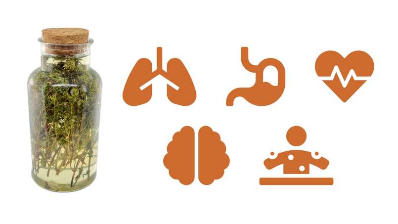 Tomillo macerado con miel, foto 1