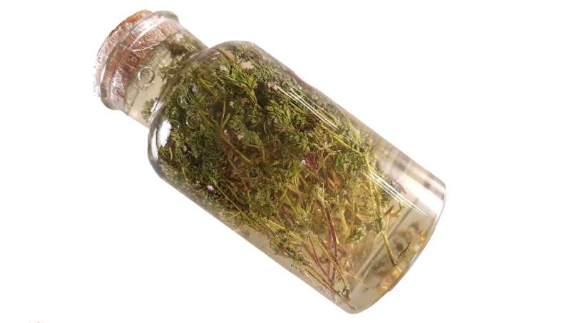 Tomillo macerado con miel, foto 4