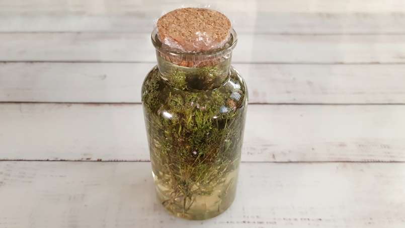 Tomillo macerado con miel, foto 6