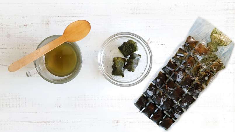 Cubitos de hielo de zumo de ortiga congelado