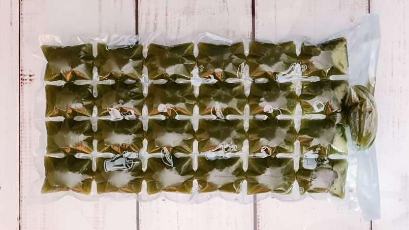 Cubitos de hielo de zumo de ortiga congelado, foto 7