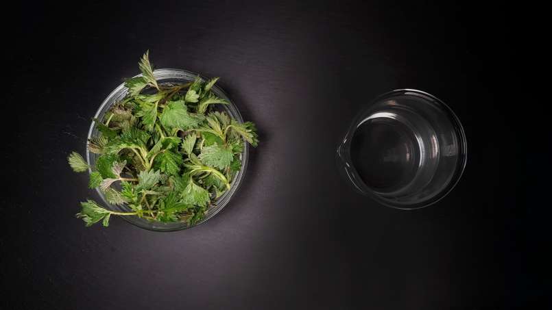 Tintura de ortiga, foto 1