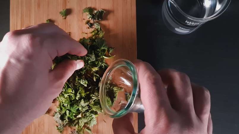 Tintura de ortiga, foto 2