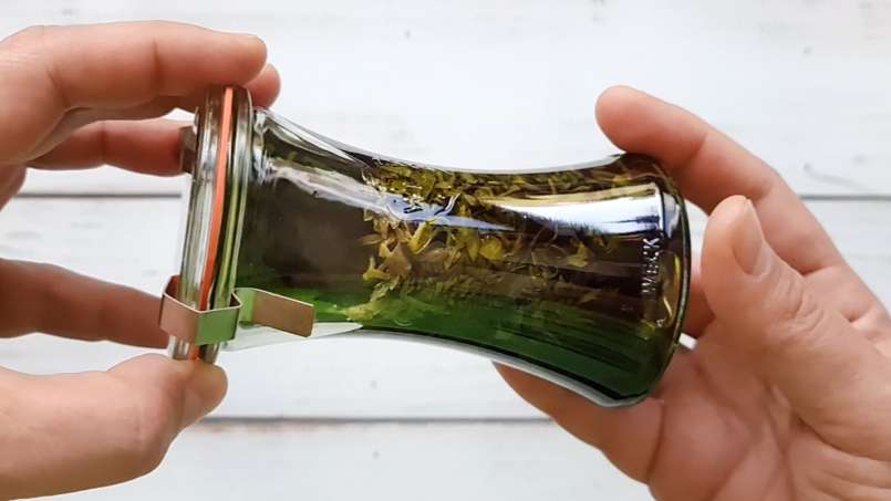 Tintura de ortiga, foto 3