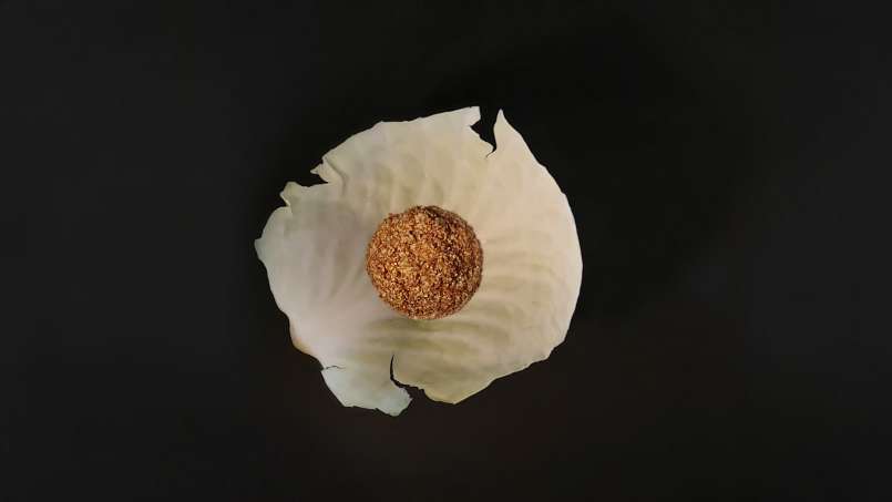 Cataplasma con loys y hojas de col, foto 9